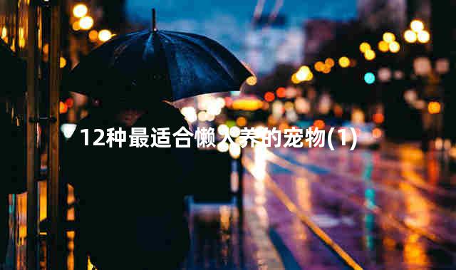 12种最适合懒人养的宠物(1)