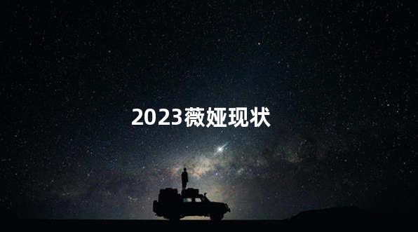 2023薇娅现状