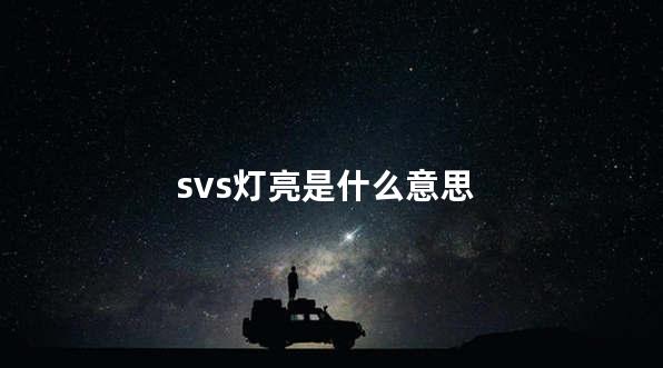 svs灯亮是什么意思