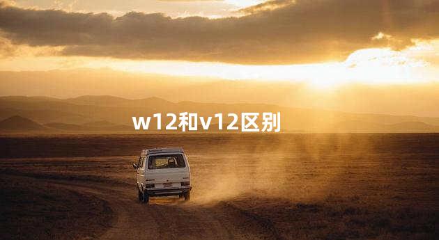 w12和v12区别