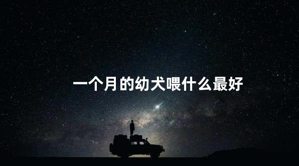 一个月的幼犬喂什么最好