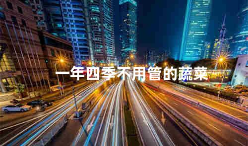 一年四季不用管的蔬菜