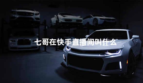 七哥在快手直播间叫什么