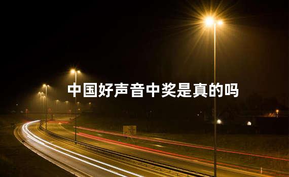 中国好声音中奖是真的吗