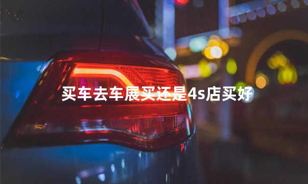 买车去车展买还是4s店买好