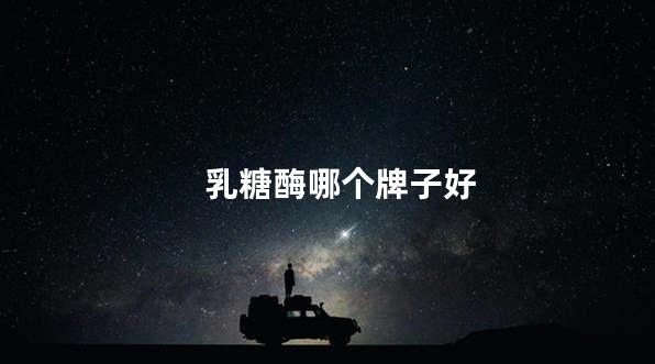 乳糖酶哪个牌子好