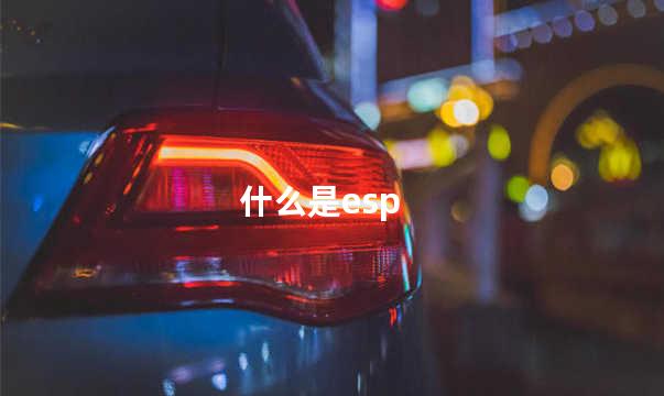 什么是esp