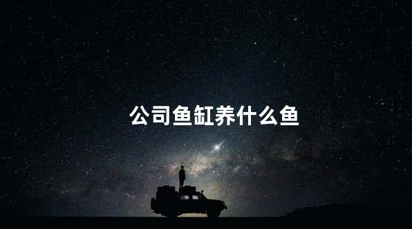 公司鱼缸养什么鱼