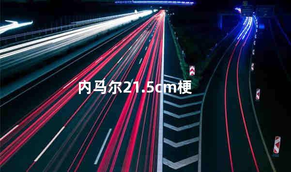 内马尔21.5cm梗