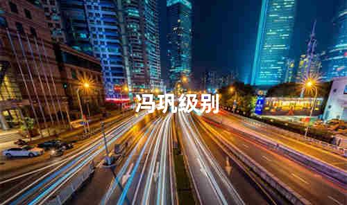 冯巩级别