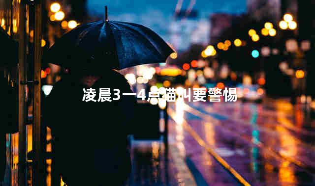 凌晨3一4点猫叫要警惕