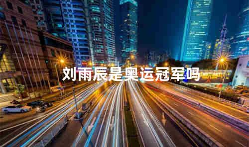 刘雨辰是奥运冠军吗