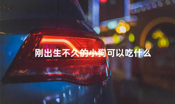刚出生不久的小狗可以吃什么