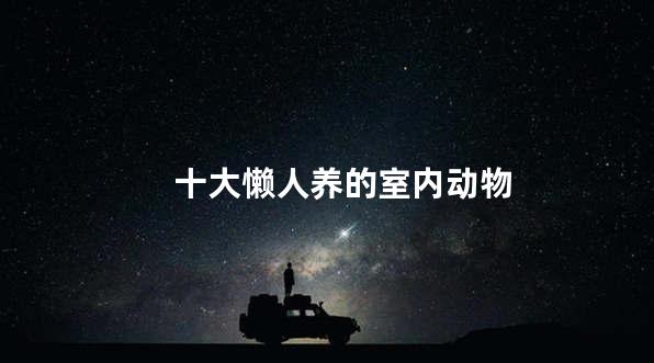 十大懒人养的室内动物