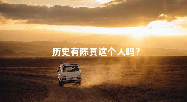 历史有陈真这个人吗？