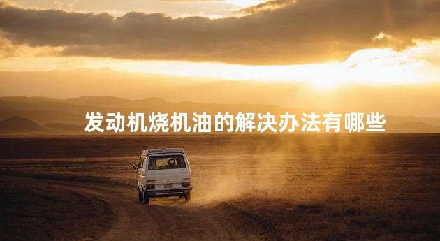 发动机烧机油的解决办法有哪些