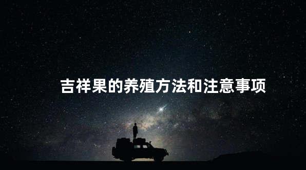 吉祥果的养殖方法和注意事项