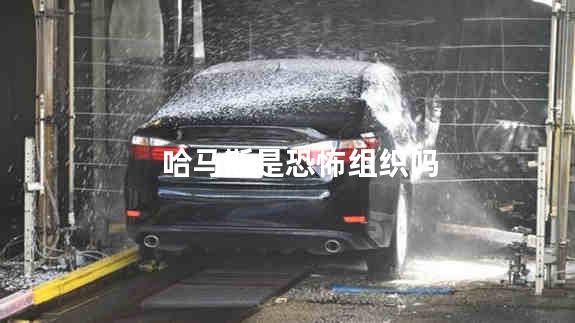 哈马斯是恐怖组织吗