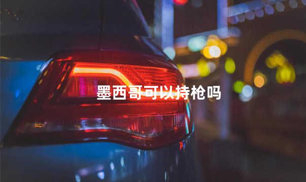 墨西哥可以持枪吗