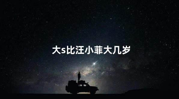 大s比汪小菲大几岁