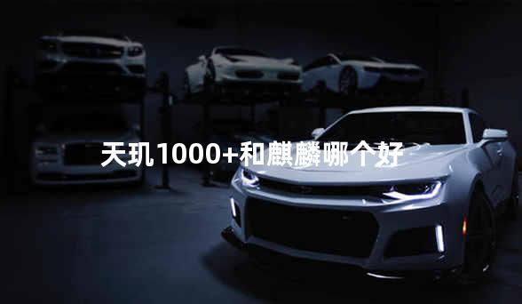 天玑1000+和麒麟哪个好