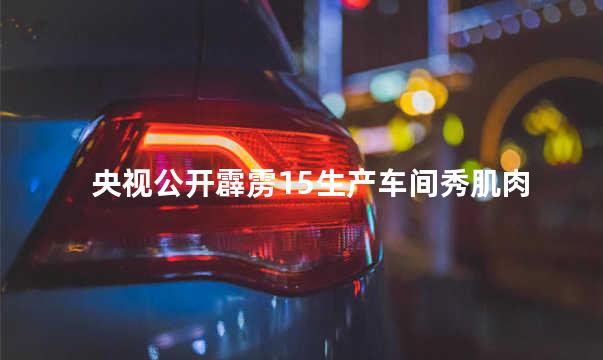 央视公开霹雳15生产车间秀肌肉