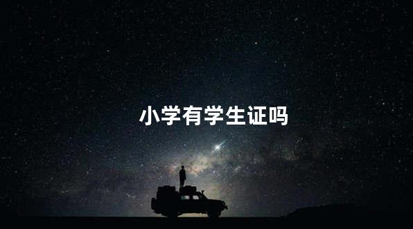 小学有学生证吗