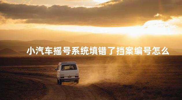小汽车摇号系统填错了挡案编号怎么办