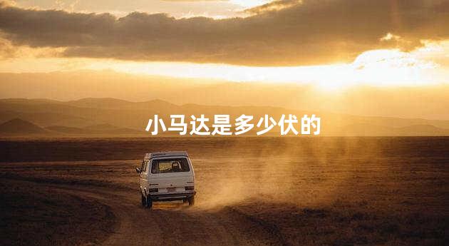 小马达是多少伏的