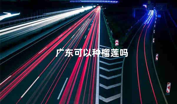 广东可以种榴莲吗