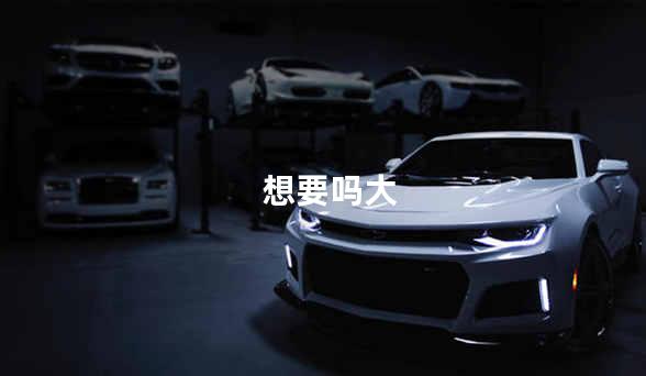 想要吗大