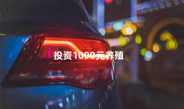 投资1000元养殖
