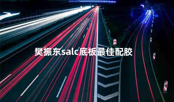 樊振东salc底板最佳配胶