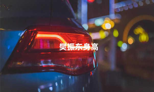 樊振东身高