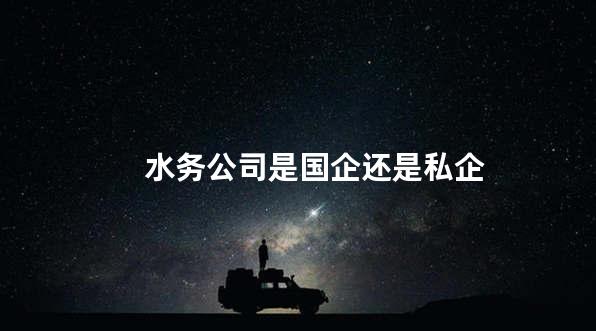 水务公司是国企还是私企