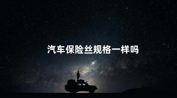 汽车保险丝规格一样吗