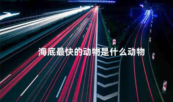 海底最快的动物是什么动物