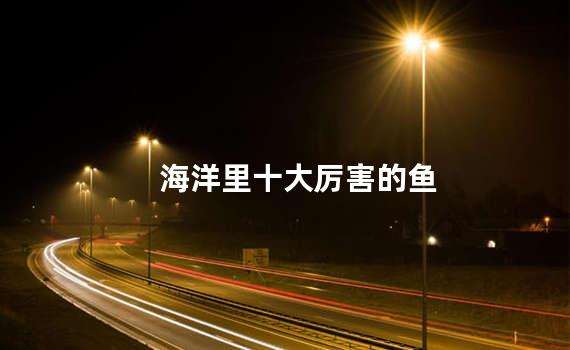 海洋里十大厉害的鱼