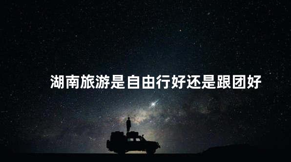 湖南旅游是自由行好还是跟团好