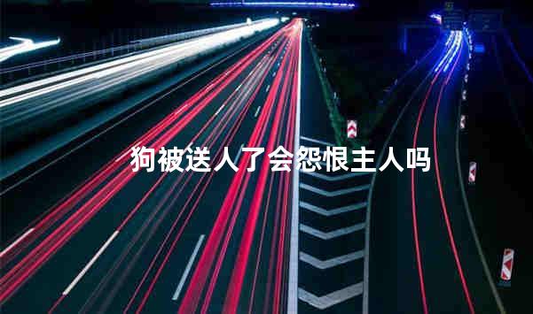 狗被送人了会怨恨主人吗