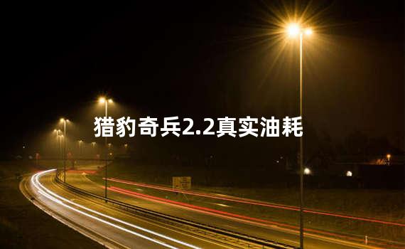 猎豹奇兵2.2真实油耗
