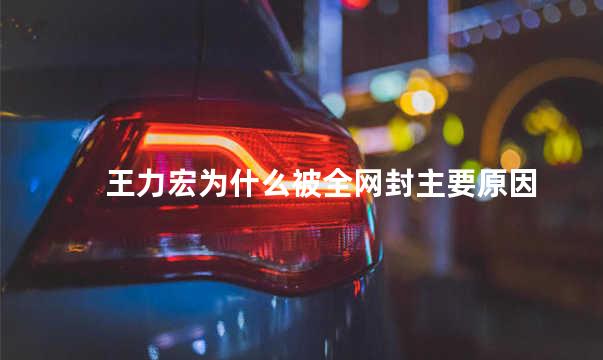 王力宏为什么被全网封主要原因