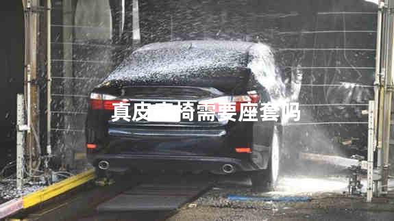 真皮座椅需要座套吗