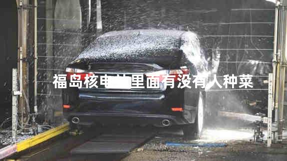 福岛核电站里面有没有人种菜