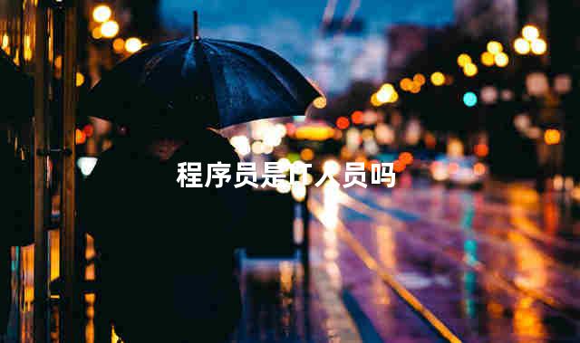 程序员是IT人员吗
