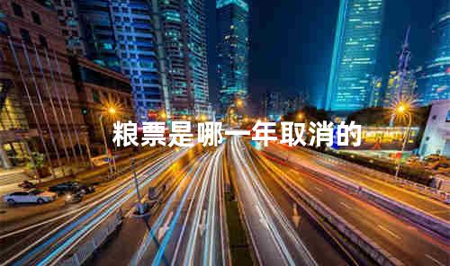 粮票是哪一年取消的