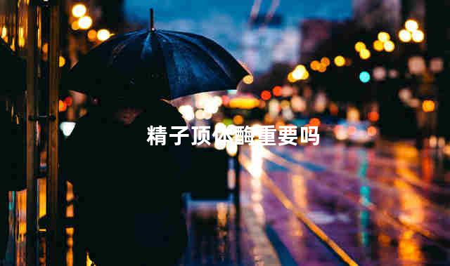 精子顶体酶重要吗