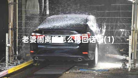 老婆闹离婚怎么挽回话语(1)