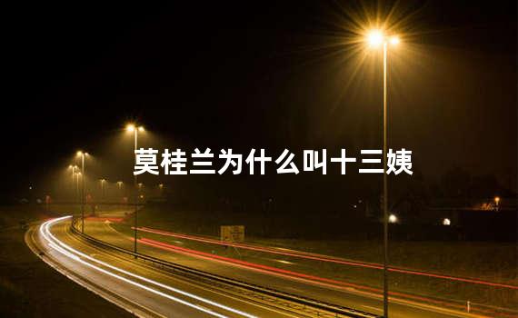 莫桂兰为什么叫十三姨