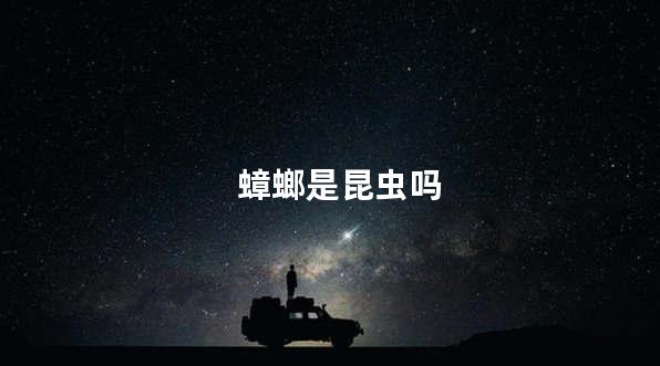 蟑螂是昆虫吗